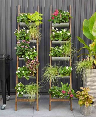  “Creative Container Gardening”： A Kaleidoscope of Urban Greenery and Innovative Aesthetics