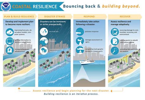 「Designing for Disaster」：一本探討建築堅韌性的埃及珍寶！