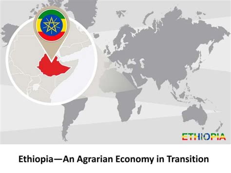  經濟學的奇幻之旅：探索《Ethiopia: Development and Economic Policy》