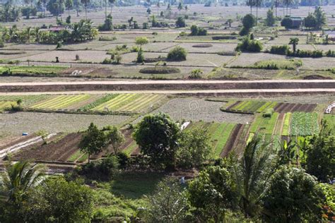  Living With the Land: Exploring the Agrarian History and Practices of Vietnam A Journey Through Time and Cultivated Fields