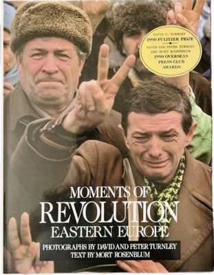  《Quiet Revolution in Eastern Europe》: 探索社會變遷與群體意識的交響曲